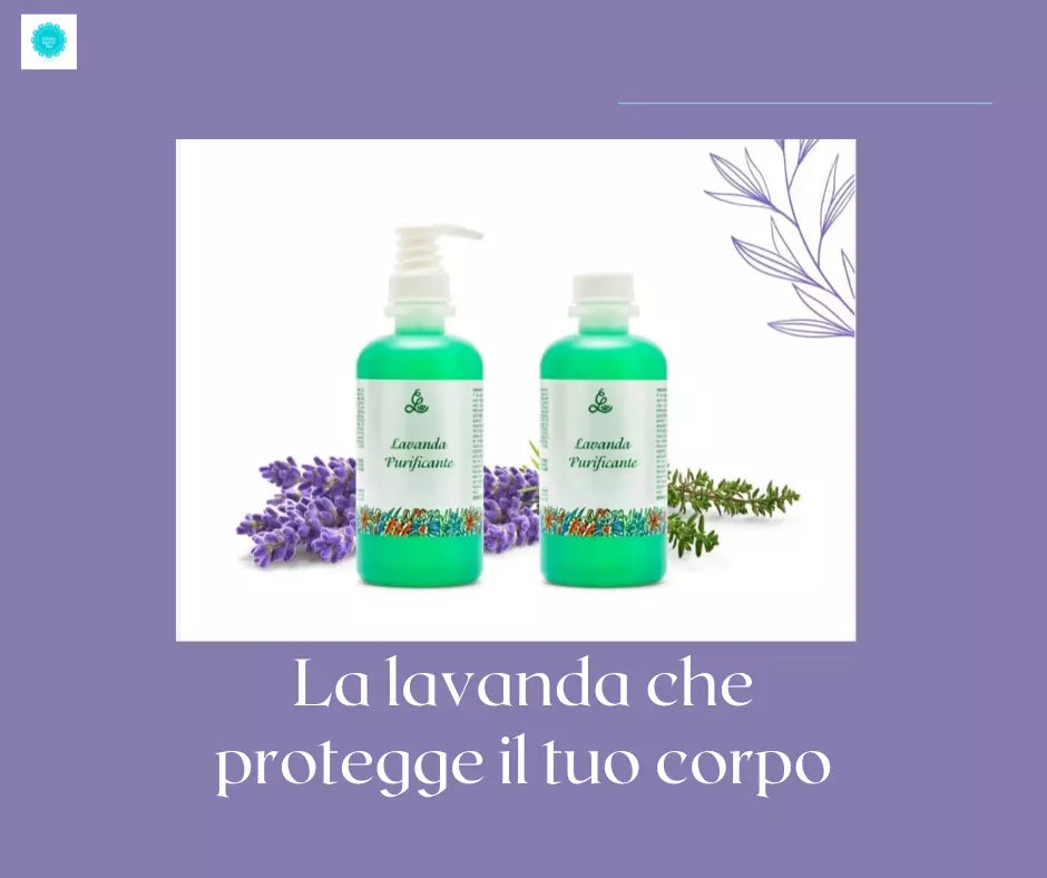 Purifying Lavender 