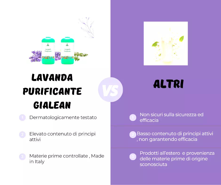 Purifying Lavender 